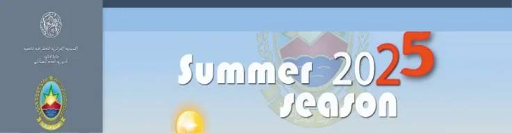 Summer Season 2025 :Remote declaration of the General Directorate of Customs